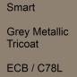 Preview: Smart, Grey Metallic Tricoat, ECB / C78L.